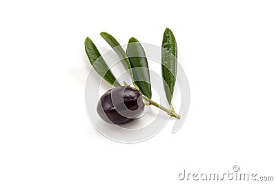 Olive with leaves Stock Photo