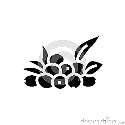 olive natural berries glyph icon vector illustration Vector Illustration