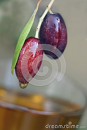 Olive oil Stock Photo