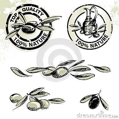 Olive oil labels and olives Vector Illustration