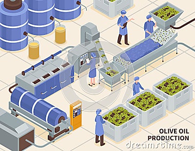 Olive Oil Production Isometric Vector Illustration