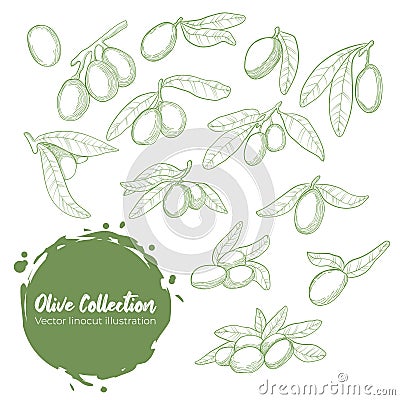 Hand drawn vector collection olive branch in linocut style Cartoon Illustration