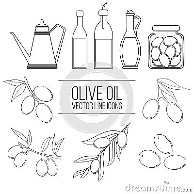 Olive oil, olives in a can, branch of olives and bottles with oil Cartoon Illustration