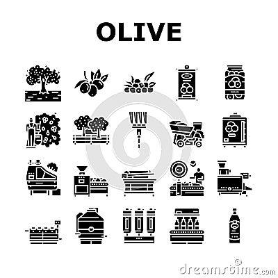 Olive Production And Harvesting Icons Set Vector Vector Illustration