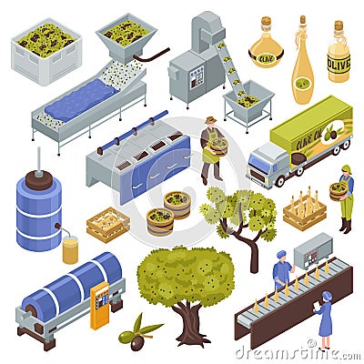 Olive Production Set Vector Illustration