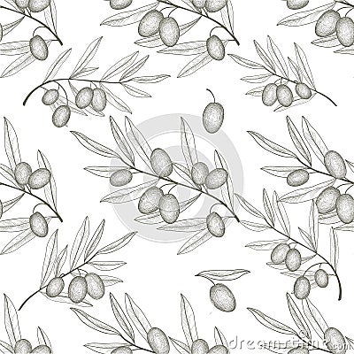 Olive tree branch with olives sketch. Nature pattern. food ingredient background Cartoon Illustration