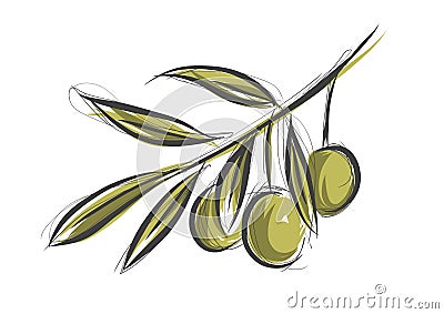 Olive tree branch Vector Illustration