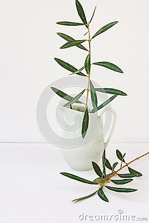 Olive tree branches in pitcher, white background, mockup, styled image for social media Stock Photo