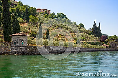 Olive tree grove, lake front garden. Monte Isola, Lago Iseo lake, Brescia, Italy Stock Photo