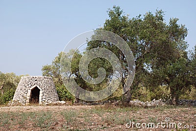 Olive Tree and Trullo Stock Photo