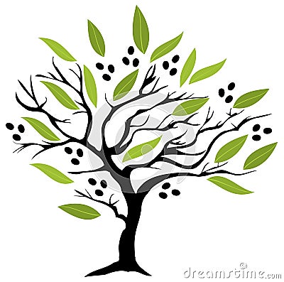 Olive Tree Vector Illustration