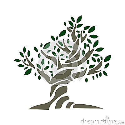 Olive tree Vector Illustration