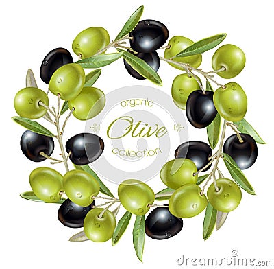 Olive wreath banners Vector Illustration