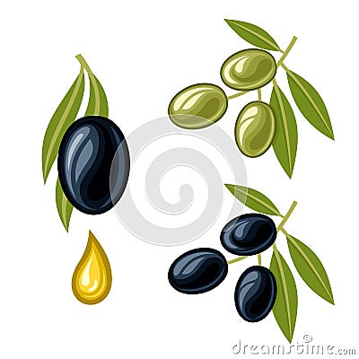 Olives Vector Illustration