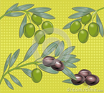 Olives Vector Illustration