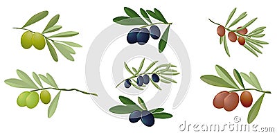 Olives Vector Illustration