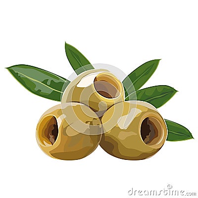 Olives Vector Illustration