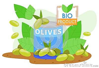 Olives farm agriculture product vector illustration, cartoon flat farmed green olive fruits in can with fresh olive tree Vector Illustration