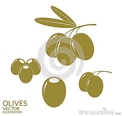 Olives. Set Vector Illustration