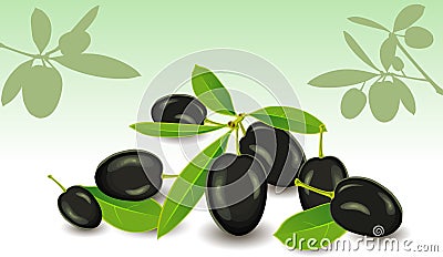 Olives, a vector Vector Illustration