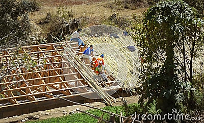 Workers thatching straw roof Editorial Stock Photo