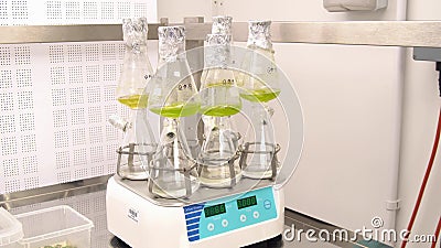 OLOMOUC, CZECH REPUBLIC, MARCH 21, 2018: Storage, oxygenation laboratory bottle sample preparation plant hale cress Editorial Stock Photo