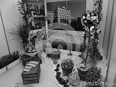 Retro image - Various flowers exposition from gardening students at Flora Exposition. Editorial Stock Photo