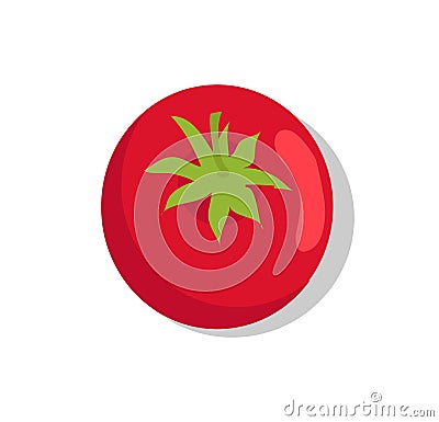 Tomato Template, Colorful Vector Illustration Vector Illustration