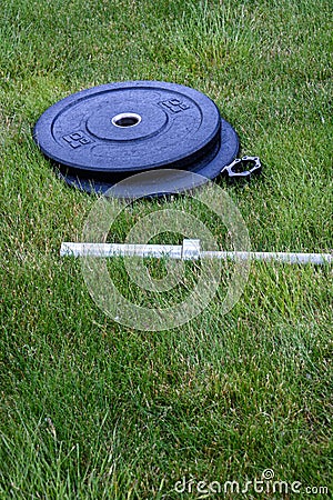 Olympic barbell with black weight plates on a green lawn, ready for an outdoor workout Stock Photo