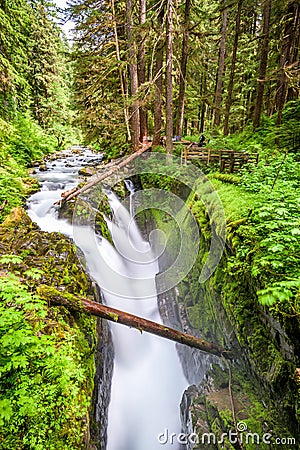 Olympic National Park Stock Photo