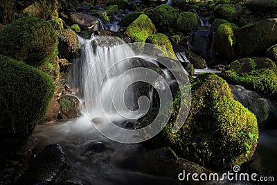 Olympic National Park, Washington State Stock Photo