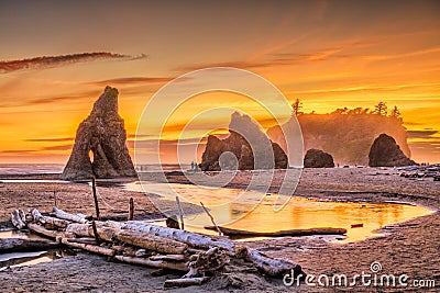 Olympic National Park, Washington, USA at Ruby Beach Stock Photo