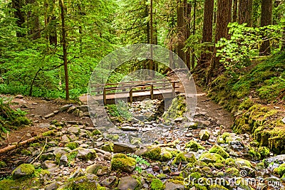 Olympic National Park, Washington, USA Stock Photo