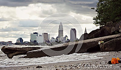 An orange flower sits on the sandy beaches of Cleveland, Ohio Stock Photo