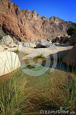 Oman: Tempting pool in Wadi Tiwi Stock Photo