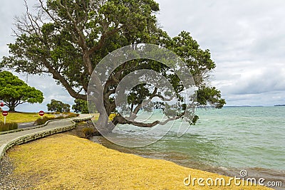 Omana Beach Auckland New Zealand Stock Photo