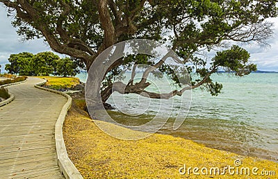 Omana Beach Auckland New Zealand Stock Photo