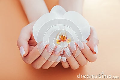 Ombre french manicure with orchid on orange background. Woman with white ombre french manicure holds orchid flower Stock Photo