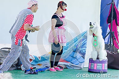 Omer (Beer-Sheva), ISRAEL -Two clown, a man and a woman and a white poodle on stage, July 25, 2015 Editorial Stock Photo