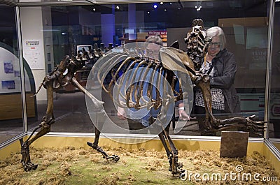 Omsi The Oregon Museum of Science and Industry Editorial Stock Photo