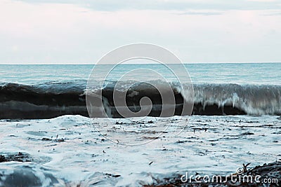 Sardinia beach in winter: seweed and motion blur Stock Photo