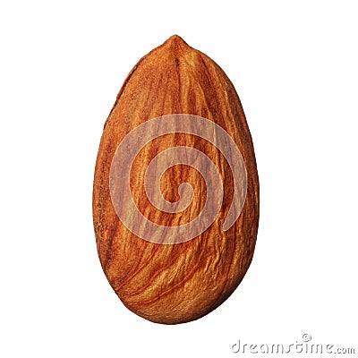 One almond isolated on white background Stock Photo