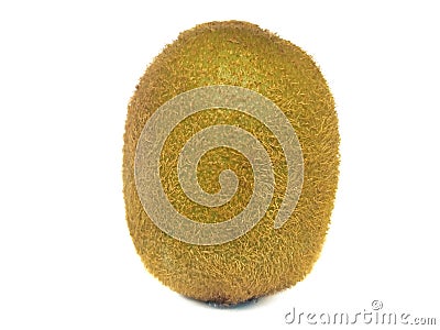 One beautiful kiwi on a white background Stock Photo