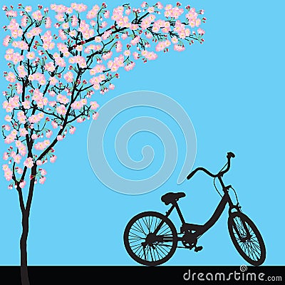 One bicycle parking under blooming full bloom pink sakura tree Cherry blossom Vector Illustration