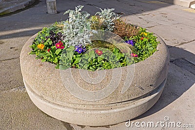 Concrete Flower Pot Stock Photo