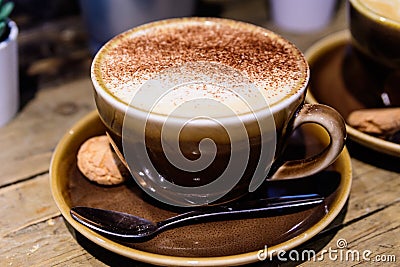 One brown cup with hot coffee - Italian cappuccino with cinnamon - on a rustic wooden table in a cafÃ©, soft focus Stock Photo