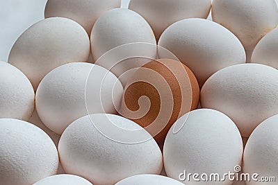 One brown egg in the middle of a group of eggs with a white shell Stock Photo