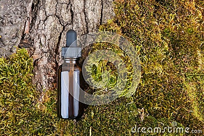 One brown glass bottles and pipette whith serum, essential oil on green moss and tree bark background. Natural Organic Spa Stock Photo