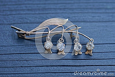 one brown jewel icon hairpin with small white gems Stock Photo