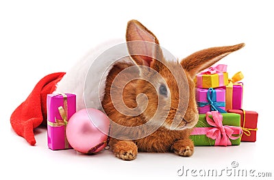 One brown rabbit in a Christmas hat with gifts. Stock Photo